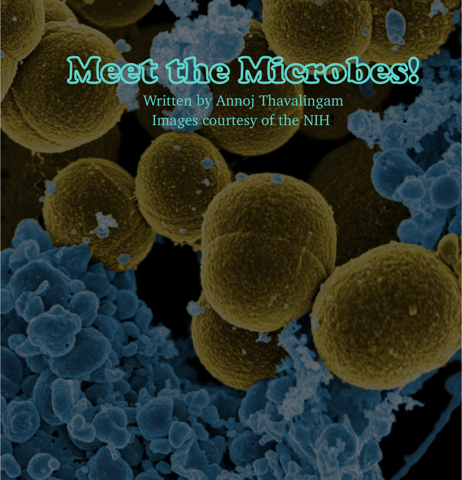 Deinococcus - microbewiki
